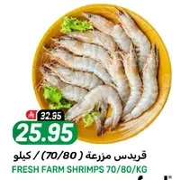 Fresh farm shrimps 70/80 kg