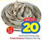 Fresh Prawns Medium Per Kg