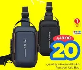 Passport USB Bag