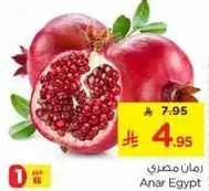 Egyptian Pomegranate