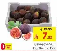 Fig Thermo Box
