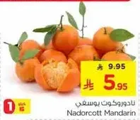 Nadorcott Mandarin