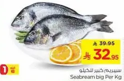 Seabream big Per Kg