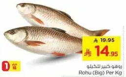 Rohu (Big) Per Kg