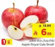 Apple Royal Gala Small
