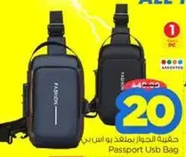 Passport USB Bag