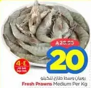 Fresh Prawns Medium Per Kg