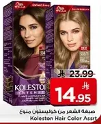 Koleston Hair Color Assortment