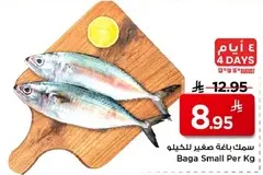 Small fish available for sale per kilogram.