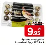 Astra Quail Eggs 18's Pack