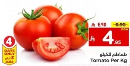 Tomato Per Kg