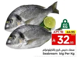 Seabream big Per Kg