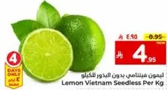 Vietnam Seedless Lemon Per Kg