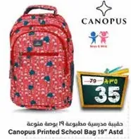 Canopus Printed School Bag 19