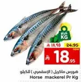 Horse mackerel per kg