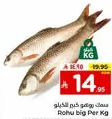 Rohu big Per Kg
