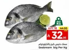 Seabream big Per Kg