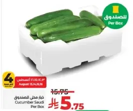Cucumber Saudi Per Box