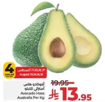 Avocado Hass Australia Per Kg