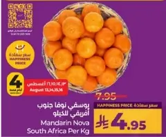 Mandarin Nova South Africa Per Kg