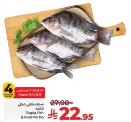 Tilapia Fish (Local) Per Kg