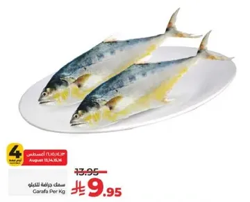 Fresh fish available for sale.
