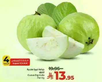 Guava Big India