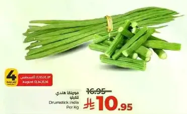 Drumstick India