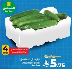 Cucumber Saudi