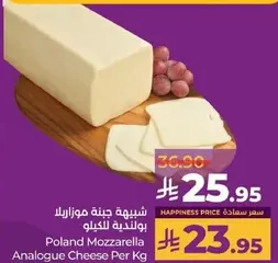 Poland Mozzarella Analogue Cheese Per Kg