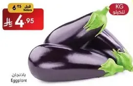 Eggplant