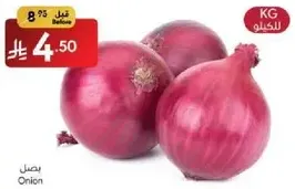 Onion