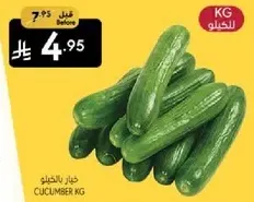 Cucumber KG