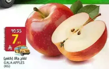 Gala Apples (KG)