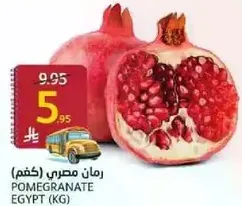 Pomegranate (Egypt)