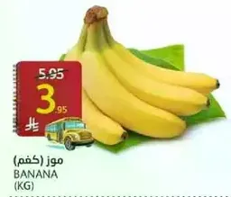 Banana