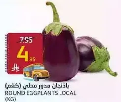 Round eggplants local