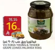 Victoria Young & Tender Grape Leaves Palirria 908g