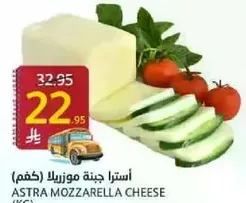 ASTRA MOZZARELLA CHEESE (KGM)