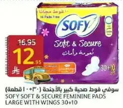 SOFY Soft & Secure Feminine Pads Large with Wings 30+10
