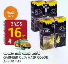 Garnier Olia Hair Color Assorted