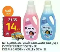 Downy Fabric Softener Dream Garden / Valley Dew 2L