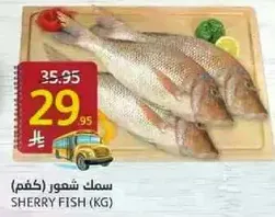 Sherry Fish (KG)
