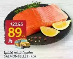Salmon fillet (kg)