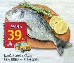 Sea Bream Fish (KG)