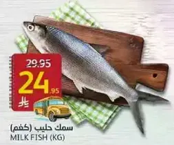 Milk Fish (KG)