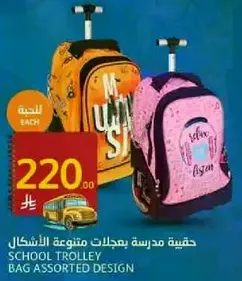 School trolley bag assorted design