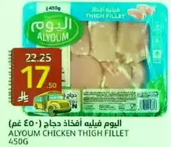Alyoum Chicken Thigh Fillet 450g