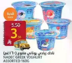 نادك زبادي يوناني متنوع 160 غم