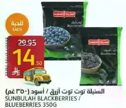 Sunbulah Blackberries / Blueberries 350g
